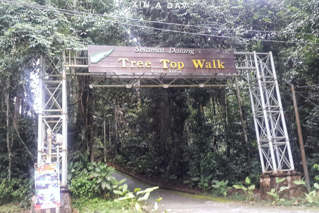 Tree Top Walk @ Sungai Sedim Kedah