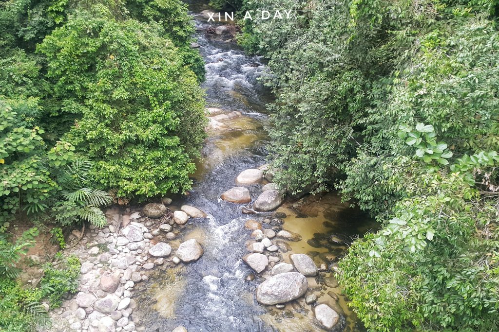 Tree Top Walk @ Sungai Sedim Kedah