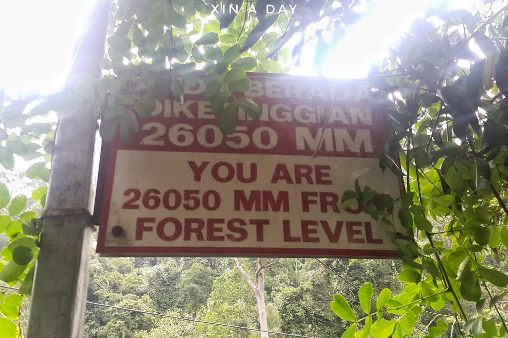 Tree Top Walk @ Sungai Sedim Kedah