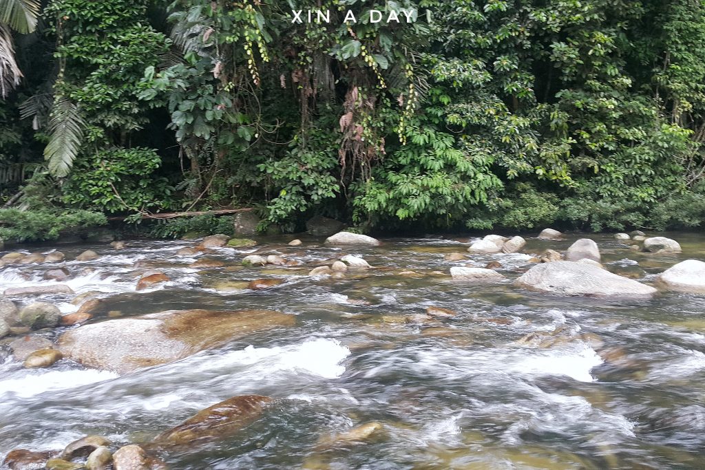 Tree Top Walk @ Sungai Sedim Kedah