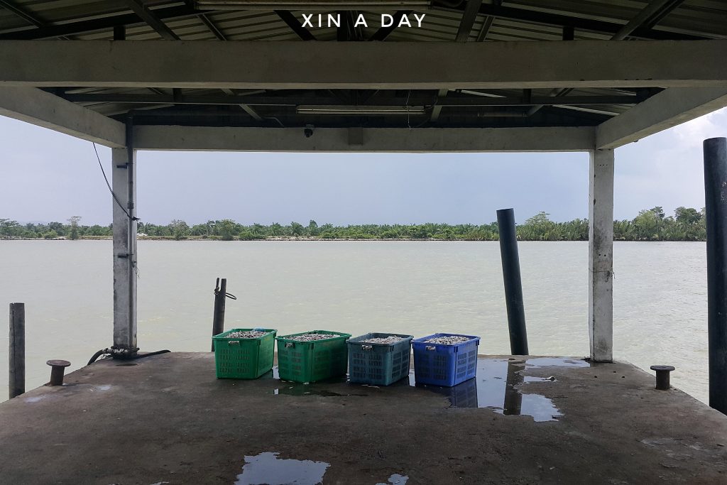 高渊港口 Sungai Udang Fish Village @ Nibong Tebal