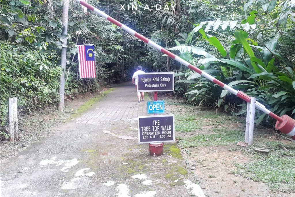 Tree Top Walk @ Sungai Sedim Kedah