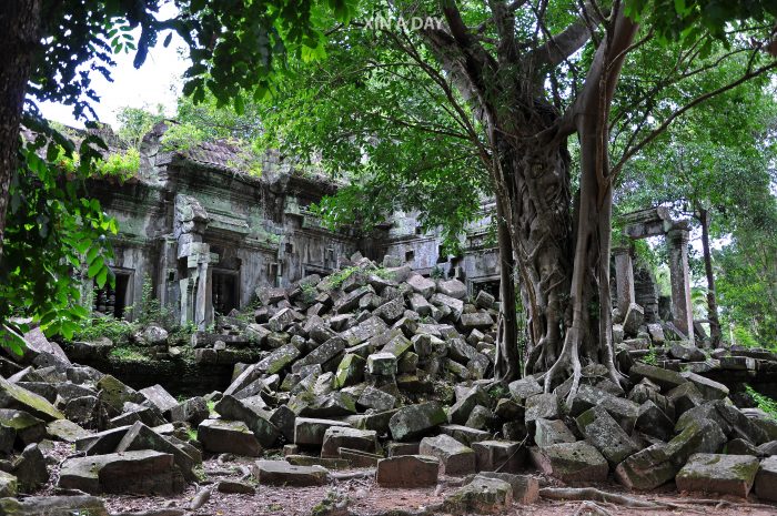 崩密列 Beng Mealea @ Siem Reap