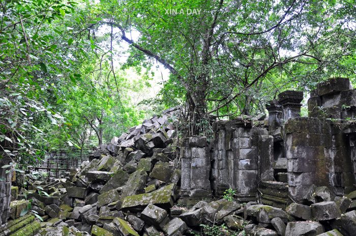 崩密列 Beng Mealea @ Siem Reap