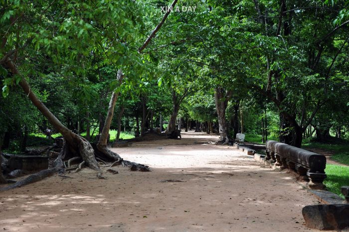 崩密列 Beng Mealea @ Siem Reap