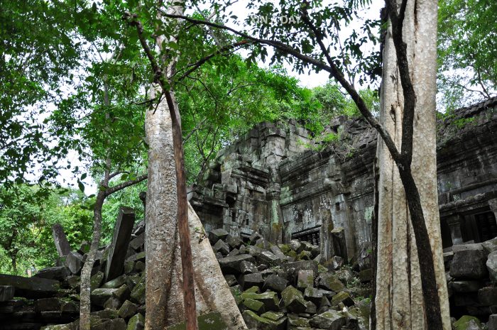 崩密列 Beng Mealea @ Siem Reap