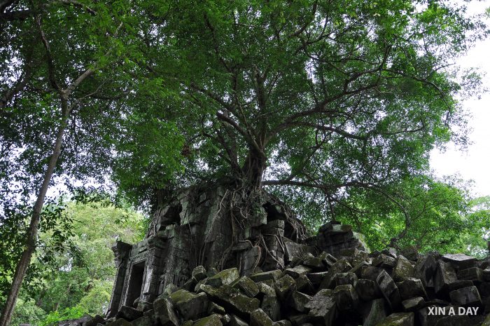 崩密列 Beng Mealea @ Siem Reap