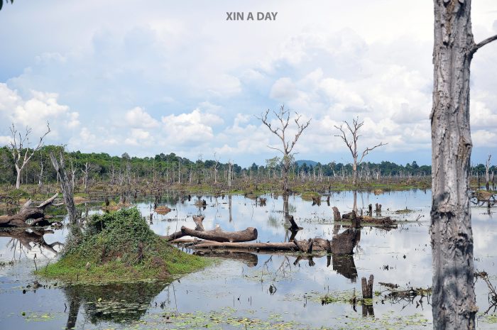  涅槃寺 Neak Pean @ Siem Reap 