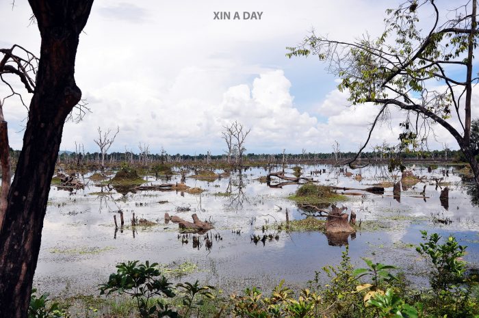 涅槃寺 Neak Pean @ Siem Reap 