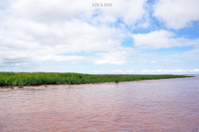 磅克良浮村 Kampong Khleang Floating Village @ Siem Reap