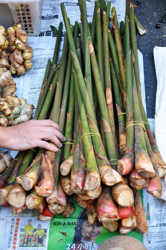 沙巴10种新奇美食 10 Unique Foods in Sabah