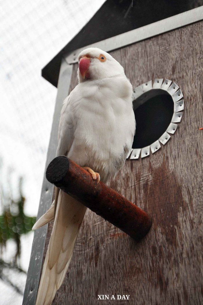 KL Bird Park