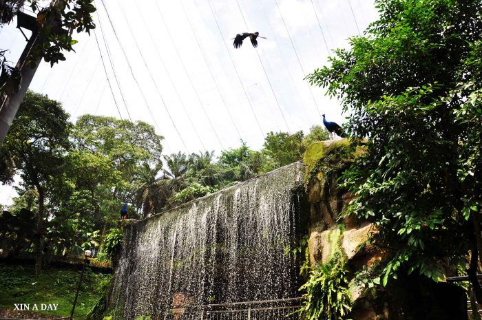 KL Bird Park