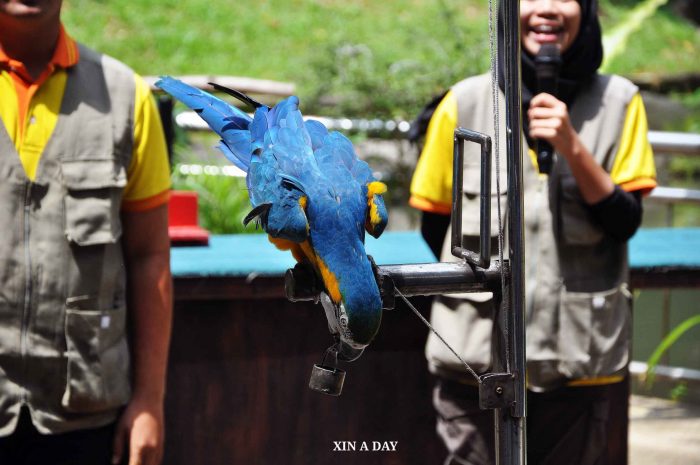 KL Bird Park