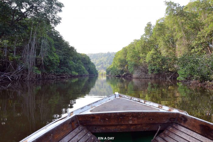 汶莱河 (Brunei River) 