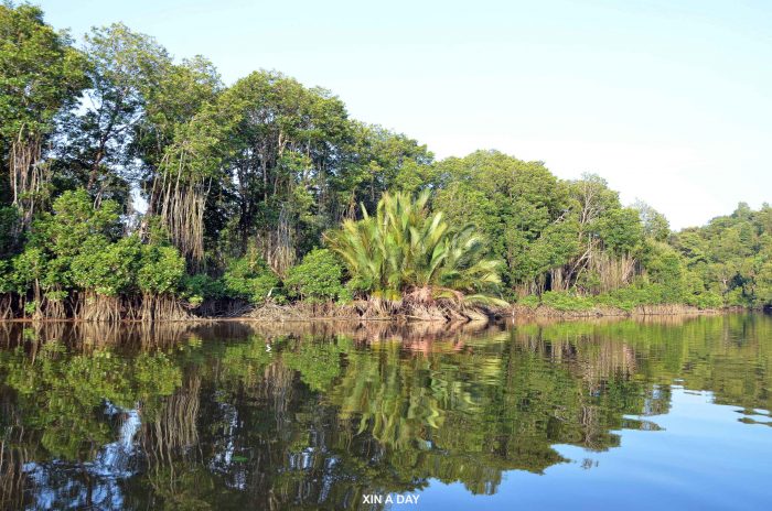 汶莱河 (Brunei River) 