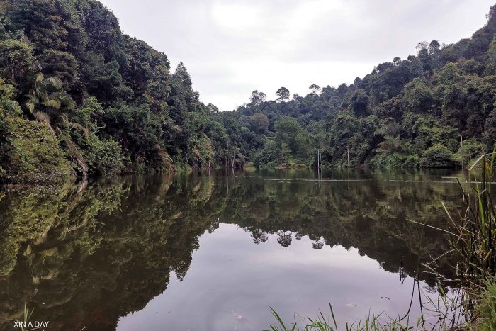 双龙山云海 Sg Long Hill Park