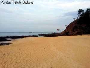 Pantai Teluk Bidara