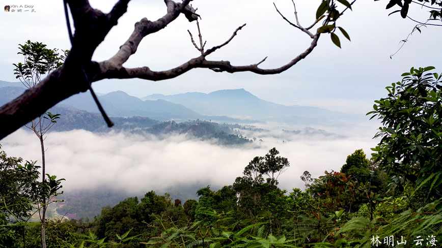 bukit-panorama 林明山