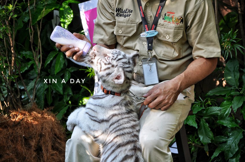 Walk & Hunt in the Wild @ Wildlife Park Sunway Lagoon