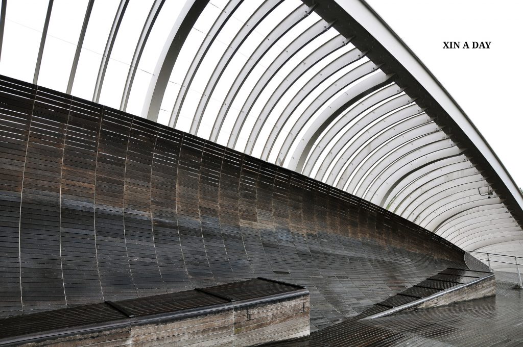  亨德森波浪人行桥 Henderson Waves Bridge  