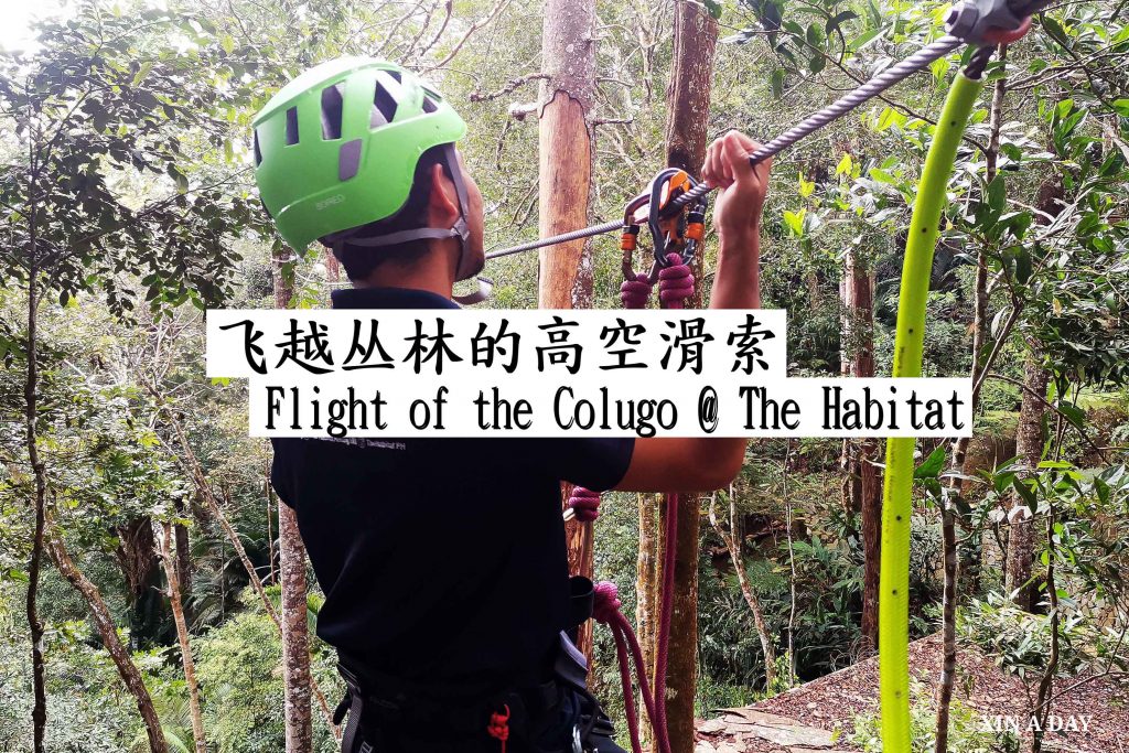 Zipline Flight of the Colugo @ Penang Hill