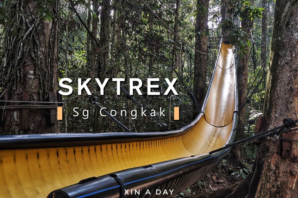 Skytrex adventure sg congkak