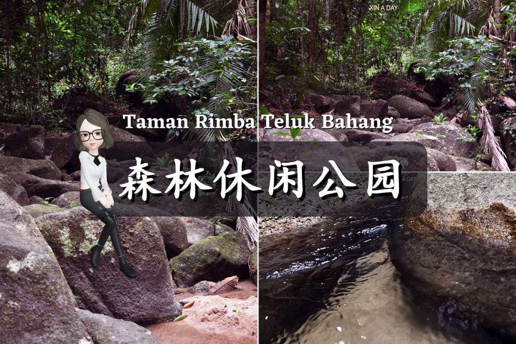 森林休闲公园 Taman Rimba Teluk Bahang