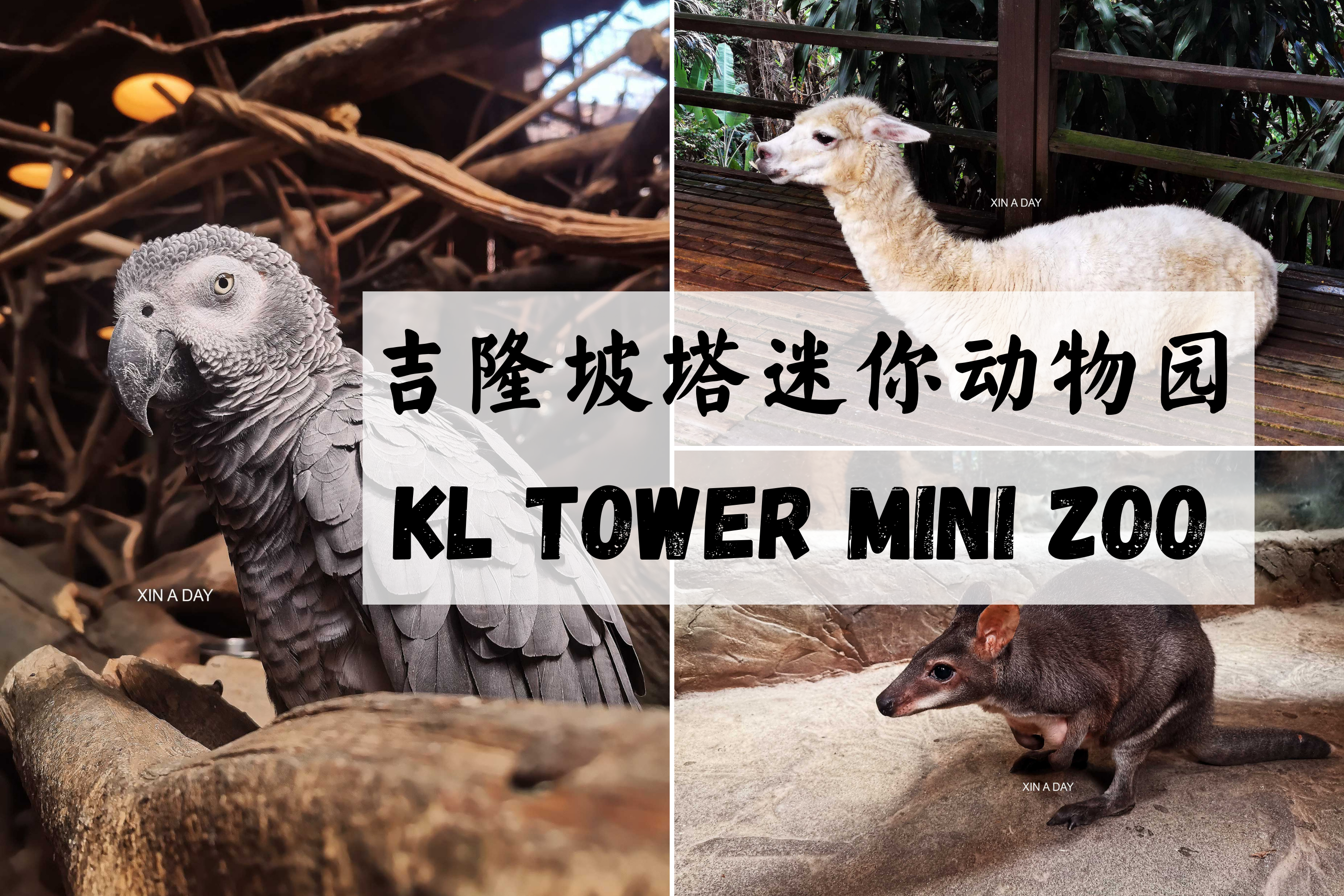 KL Tower Mini Zoo