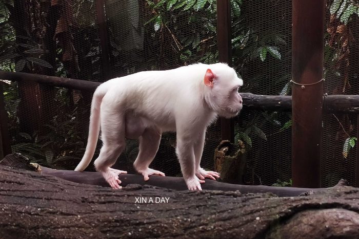 KL Tower Mini Zoo 吉隆坡塔迷你动物园