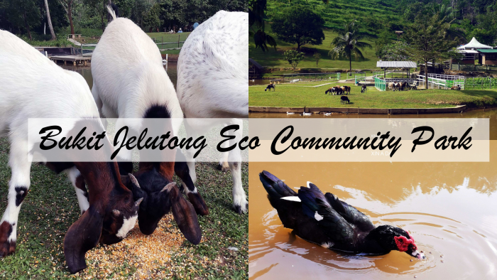 Bukit Jelutong Eco Community Park cover