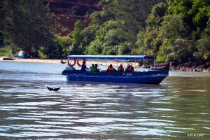 Irrawaddy Dolphin Viewing Area