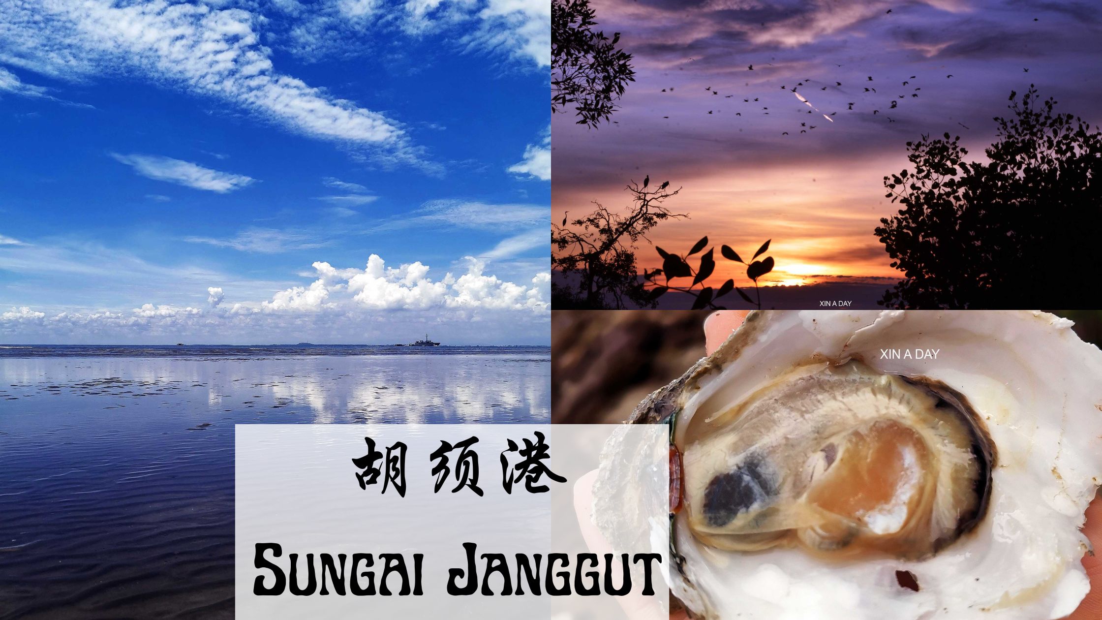 sungai janggut