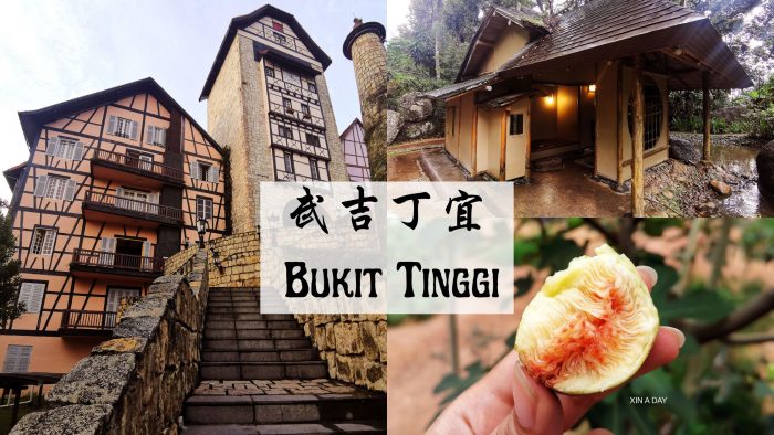 Bukit Tinggi 彭亨小镇旅行 Discover Pahang Small Towns