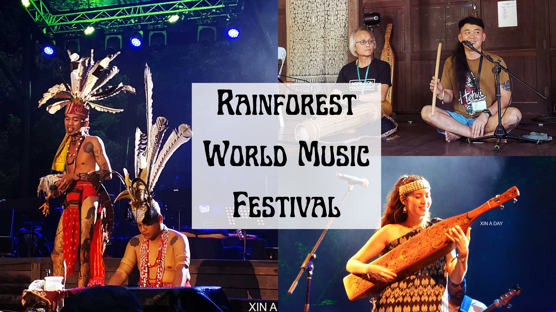 Rainforest World Music Festival