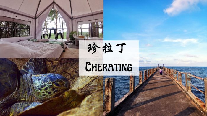 Cherating 彭亨小镇旅行 Discover Pahang Small Towns