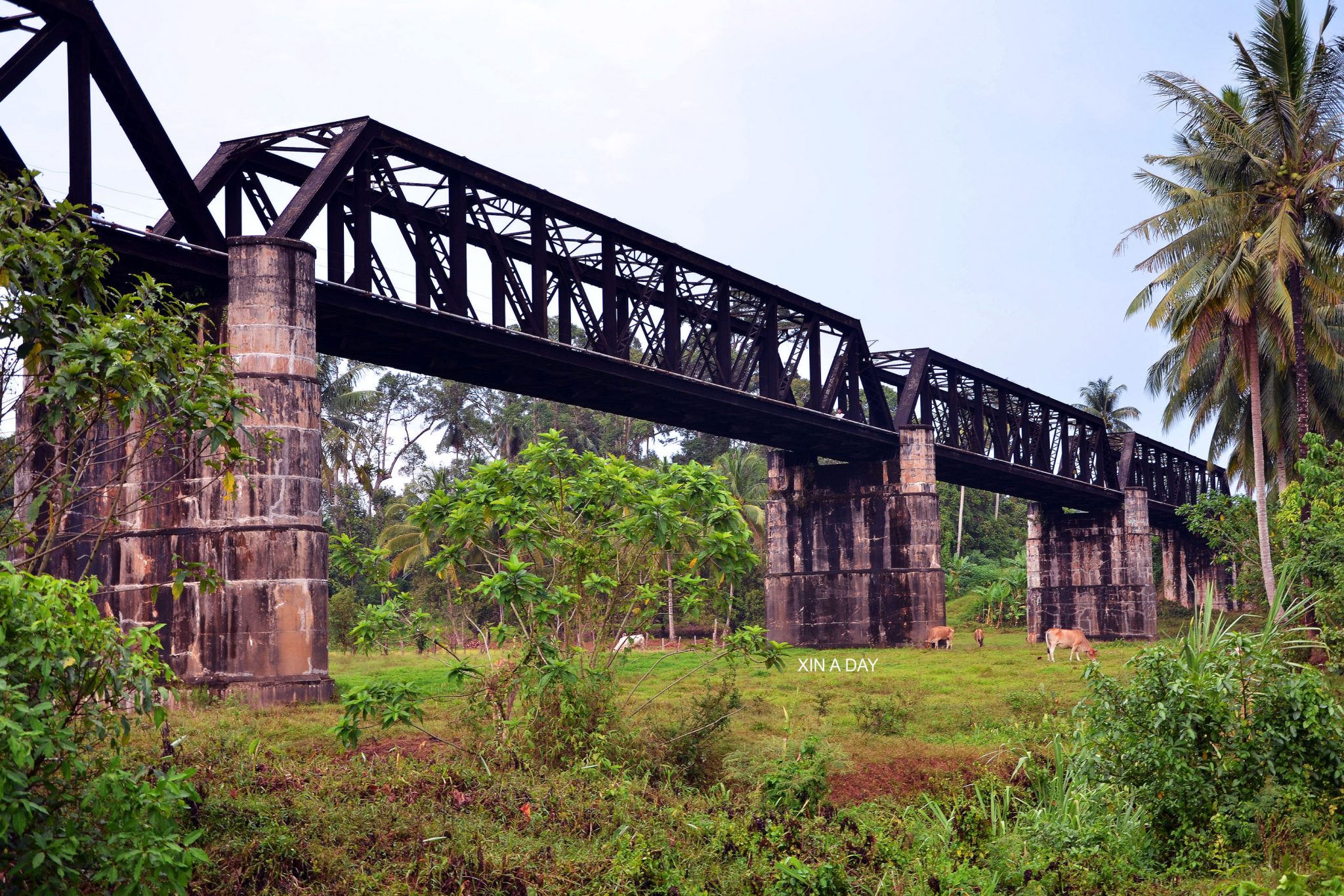 【旅游】丹那美拉 Explore Tanah Merah – Xin A Day 昕 一 天