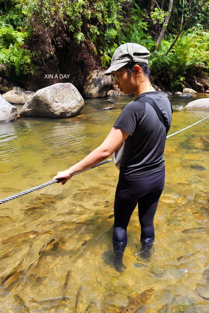 【瀑布】吉令河瀑布 Sungai Chiling Waterfall