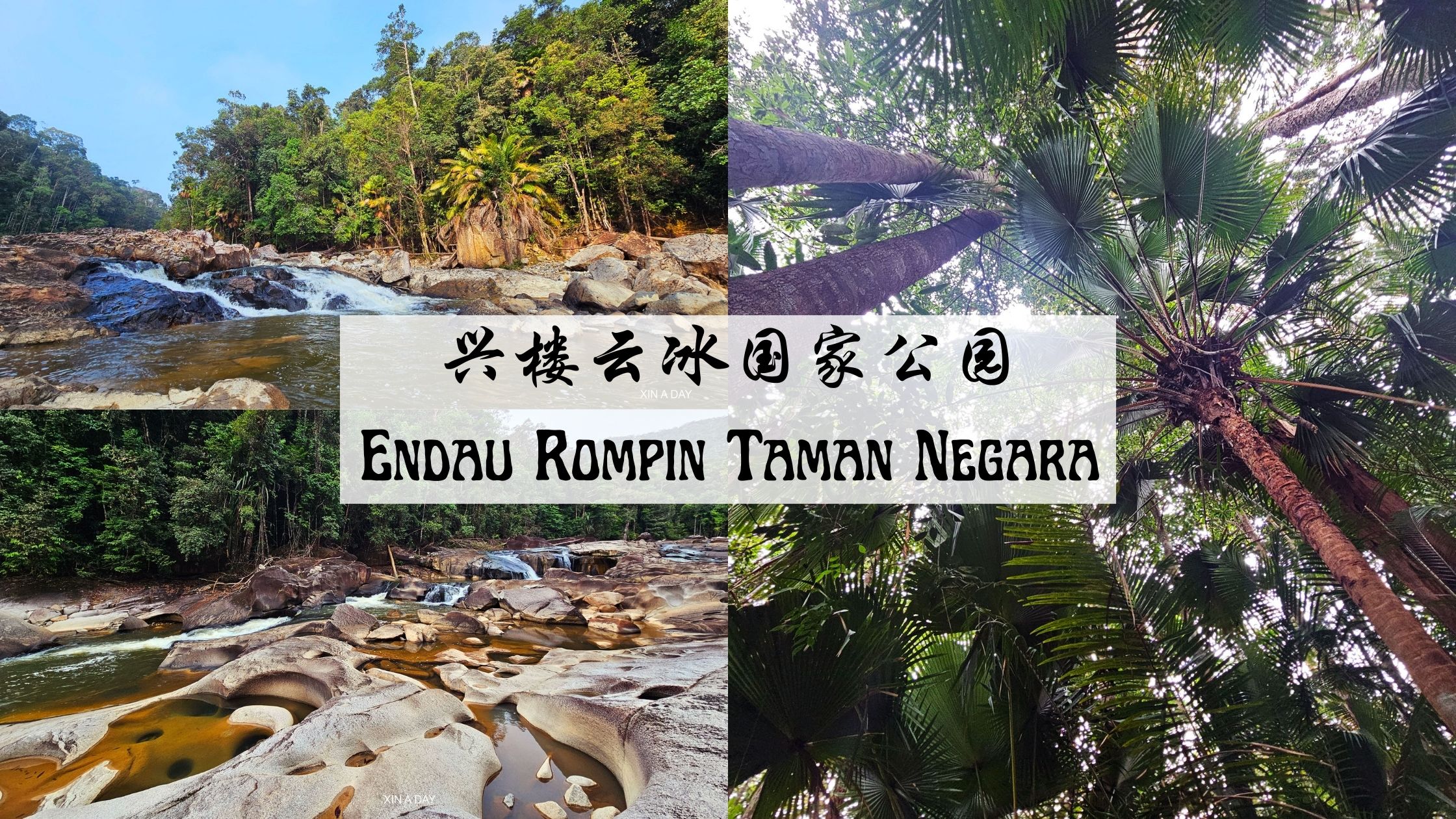 【旅游】兴楼云冰国家公园 Taman Negara Johor Endau Rompin