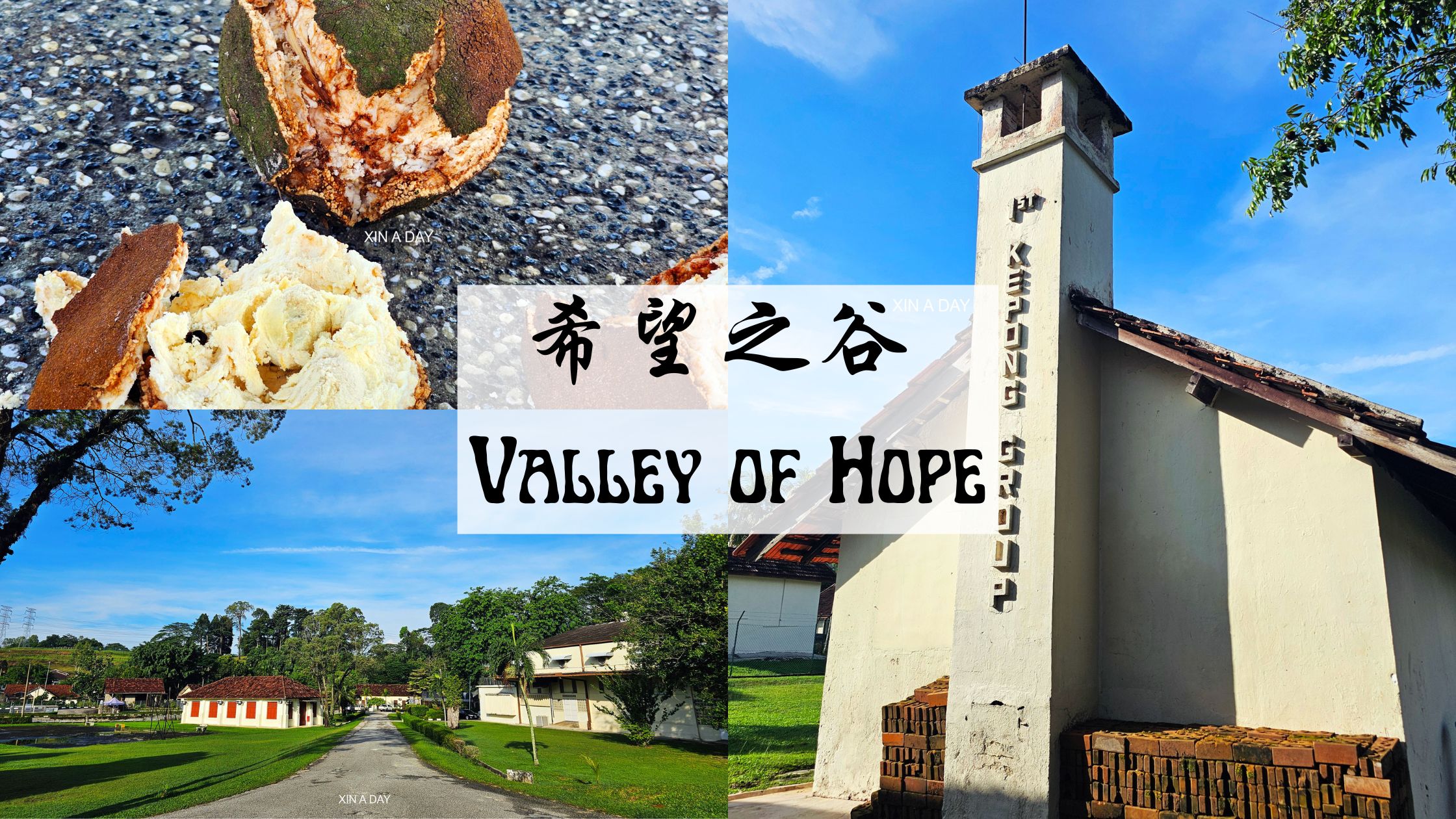 希望之谷 Valley of Hope
